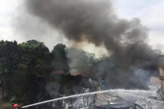 (Ảnh: PV/Vietnam+)