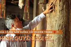 Chùa cổ 700 năm tuổi xuống cấp trầm trọng, chính quyền nói gì? (Ảnh: Hoài Nam/Vietnam+)