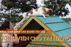 Có gì trong công viên dành cho ''cún cưng'' đầu tiên tại Hà Nội? (Ảnh: Minh Anh/Vietnam+)