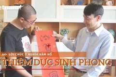 Dịch giả Châu Hải Đường viết thư pháp 'thêm cánh' cho năm Hổ Nhâm Dần. (Ảnh: Minh Anh/Vietnam+)