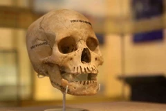 Hiện vật được trưng bày. (Ảnh: Thanh Tùng/TTXVN)