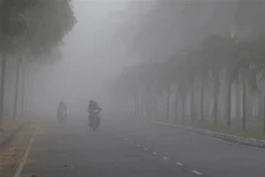 (Ảnh minh họa: Duy Khương/TTTXVN)