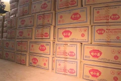 (Ảnh minh họa: TTXVN phát)