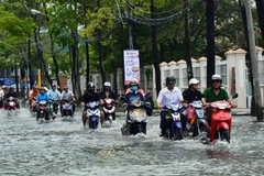 (Ảnh minh họa: Huỳnh Thế Anh/TTXVN)