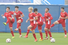 Do sân Al Maktoum được BTC yêu cầu bảo dưỡng, nên trong buổi tập chiều ngày 19/1 đội tuyển Việt Nam không được tập trên sân này mà phải tiếp tục luyện tập ở sân phụ Humaid Al Tayer (Dubai, UAE).