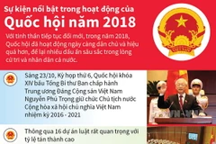 Điểm lại những hoạt động nổi bật của Quốc hội năm 2018