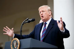 Tổng thống Mỹ Donald Trump phát biểu trong cuộc họp báo tại Nhà Trắng ngày 4/1/2019. (Ảnh: THX/ TTXVN)