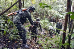 (Ảnh minh họa: Hồ Cầu/TTXVN)