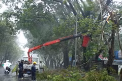Những thiệt hại đầu tiên do bão số 9 tại Thừa Thiên - Huế. (Ảnh: Quốc Việt- TTXVN)