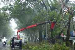 Những thiệt hại đầu tiên do bão số 9 tại Thừa Thiên - Huế. (Ảnh: Quốc Việt- TTXVN)