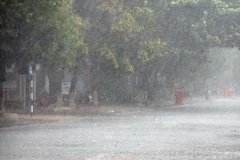 Ảnh minh họa. (Nguồn: TTXVN)