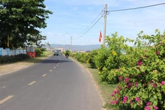 Ảnh minh họa. (Ảnh: Phạm Cường/TTXVN)