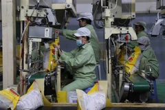 Đóng gói gạo xuất khẩu tại Công ty TNHH MTV Lương thực Thoại Sơn (Tập đoàn Lộc Trời). (Ảnh: Phạm Hậu/TTXVN)