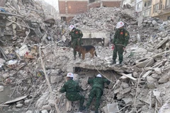 Lực lượng cứu hộ, cứu nạn của Quân đội Nhân dân Việt Nam triển khai hoạt động tại Antakya, thủ phủ tỉnh Hatay. (Ảnh: Hải Linh/TTXVN)