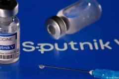 Vaccine Sputnik V. (Nguồn: Reuters)