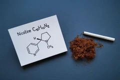 Nicotine là chất gây nghiện nhưng không phải là nguyên nhân chính gây ra các bệnh liên quan đến hút thuốc lá. (Nguồn: Vietnam+)