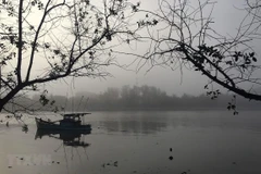 Ảnh minh họa. (Nguồn: TTXVN)