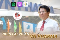 (Nguồn: Vietnam+)
