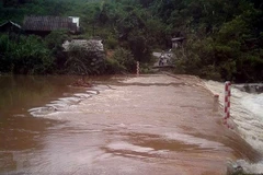 Ảnh minh họa. (Nguồn: TTXVN)