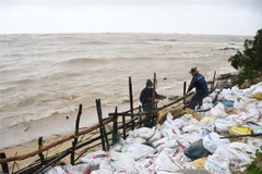 Người dân làm kè tạm chắn sóng. (Ảnh: Đinh Hương/TTXVN)