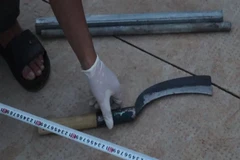 Tang vật vụ án. (Ảnh: TTXVN phát)