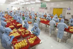 Chế biến sản phẩm dứa đóng hộp. (Ảnh minh họa: Vũ Sinh/TTXVN)