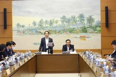 Đại biểu Quốc hội tỉnh Sóc Trăng Hoàng Thanh Tùng phát biểu ý kiến. (Ảnh: Doãn Tấn/TTXVN)