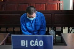 Bị cáo Nguyễn Hoàng Nhựt tại tòa. Ảnh: Lê Đức Hoảnh-TTXVN