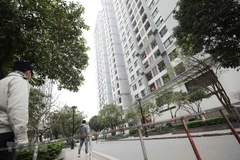 Ảnh minh họa. (Nguồn: TTXVN)