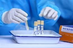 Lấy mẫu xét nghiệm COVID-19. (Nguồn: TTXVN)