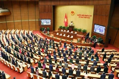 Các đại biểu Quốc hội thực hiện nghi lễ chào cờ tại phiên bế mạc. (Ảnh: Phạm Kiên/TTXVN)