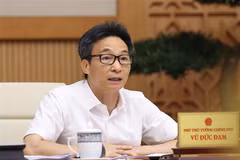 Phó Thủ tướng Vũ Đức Đam. (Nguồn: TTXVN)