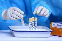 Lấy mẫu xét nghiệm COVID-19. (Nguồn: TTXVN)