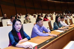 (Ảnh minh họa: Trọng Đức/TTXVN)