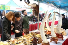 Khách tham quan, mua sắm tại các gian hàng OCOP. (Ảnh: Hoàng Hiếu/TTXVN)