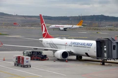 Máy bay Boeing 737 Max tại sân bay Istanbul, Thổ Nhĩ Kỳ ngày 15/4/2021. (Ảnh: DHA/TTXVN)