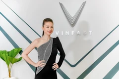 Ngô Thanh Vân-Đạo diễn, diễn viên- đả nữ của màn ảnh Việt Nam 