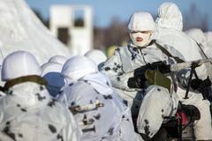 Ảnh minh họa. (Nguồn: Sputnik International)