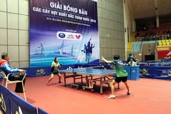 Các vận động viên tranh tài tại giải. (Ảnh: Mạnh Tú/TTXVN)