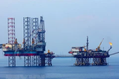 Ảnh minh họa. (Nguồn: TTXVN)