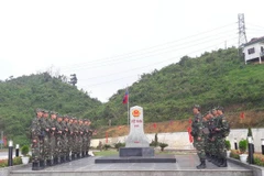 Ảnh minh họa. (Nguồn: TTXVN)