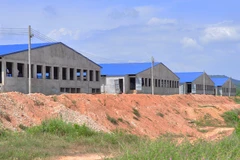 Ngày 27/10 tiến hành dỡ bỏ trại nuôi lợn quy mô lớn gần hồ Trị An