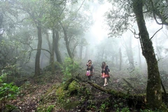 Vẻ đẹp hùng vĩ của Tả Liên Sơn thu hút nhiều bạn trẻ tới khám phá. (Ảnh: Quý Trung/TTXVN)