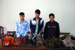 3 đối tượng cùng tang vật khai thác gỗ trái phép. (Ảnh: Phương Thúy/TTXVN phát)