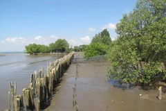 Ảnh minh họa. (Nguồn: Vietnam+)