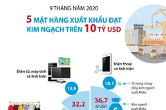 5 mặt hàng xuất khẩu trên 10 tỷ USD trong 9 tháng năm 2020