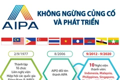 [Infographics] AIPA không ngừng củng cố và phát triển