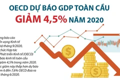 [Infographics] OECD dự báo GDP toàn cầu năm 2020 giảm 4,5%
