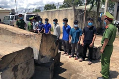 Các đối tượng khai thác gỗ trái phép và tang vật bị cơ quan chức năng thu giữ. (Ảnh: Hưng Thịnh/TTXVN)