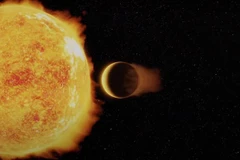 Ảnh minh họa. (Nguồn: cam.ac.uk)